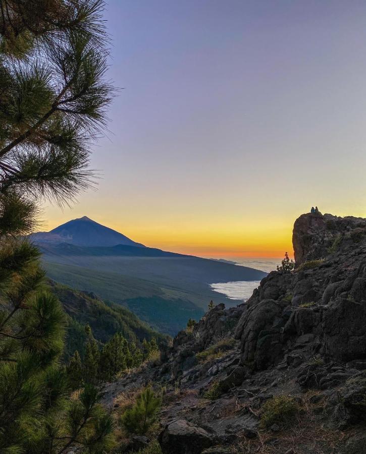 Almar Apartamento Con Ac, Los Cristianos ロスクリスティアーノス エクステリア 写真